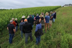 group touring vineyard